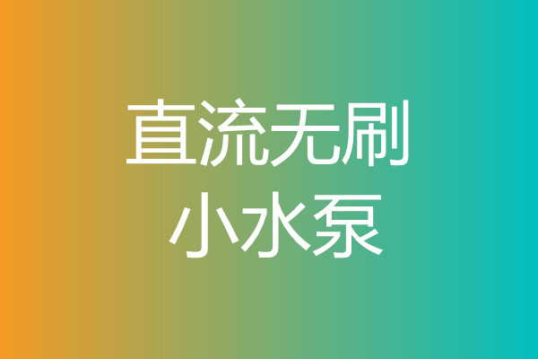 直流无刷小水泵